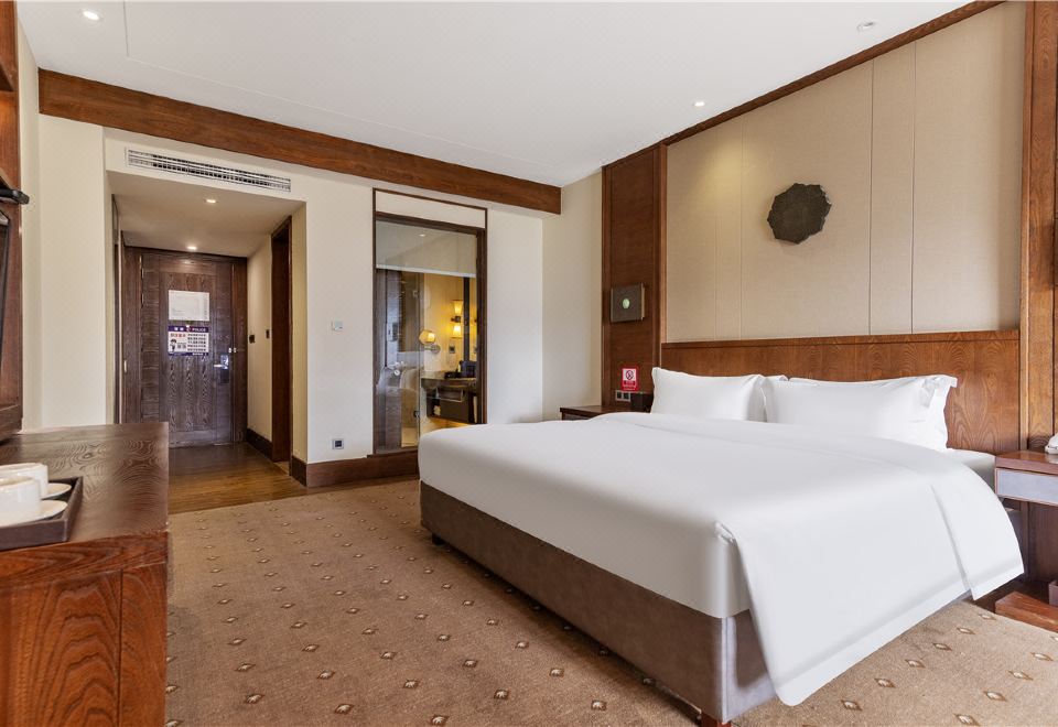 尼洋云境·大床房