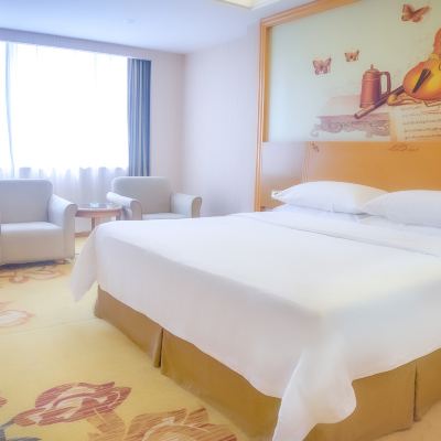 麗致大床房（釋壓大床+温馨舒適+雅緻舒眠） 開平威爾遜酒店優惠