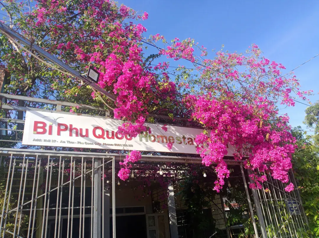 Homestay Golf & Coffee - Bi Phu Quoc - Phú Quốc