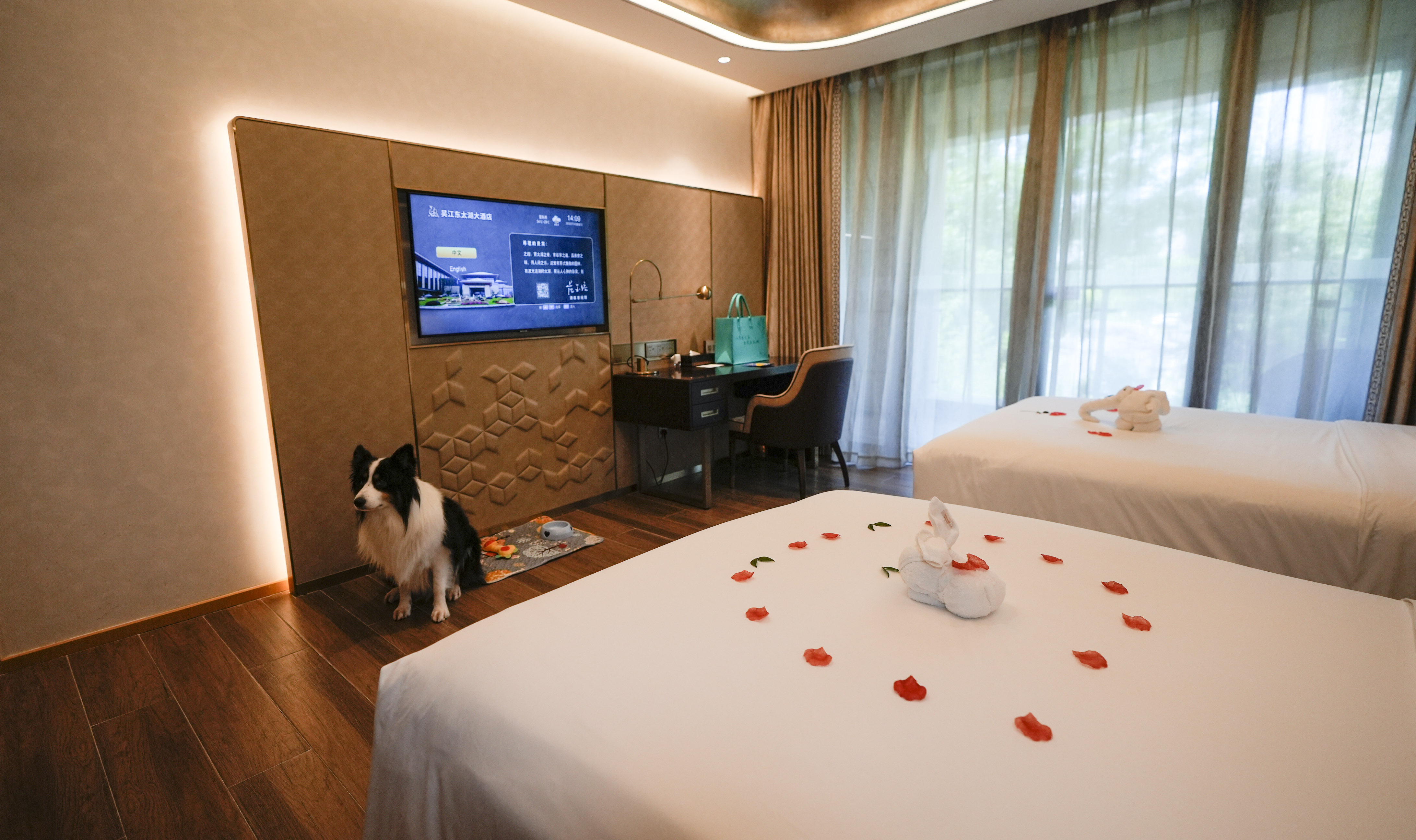 别墅萌宠双床房