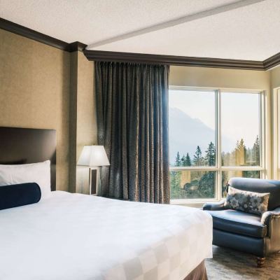 Premium Valley View King Room