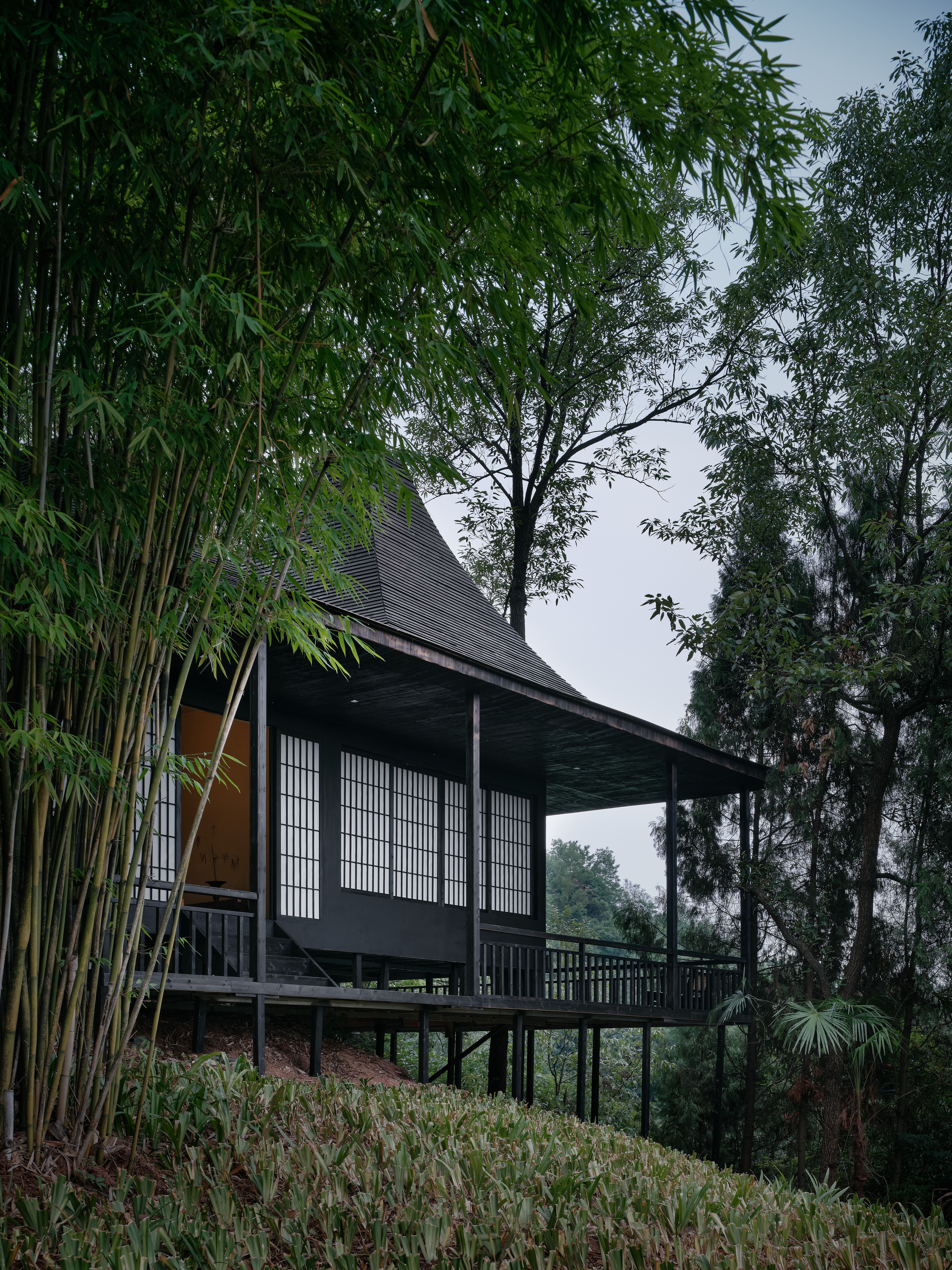 「光野山」宋式悬崖树屋大床房