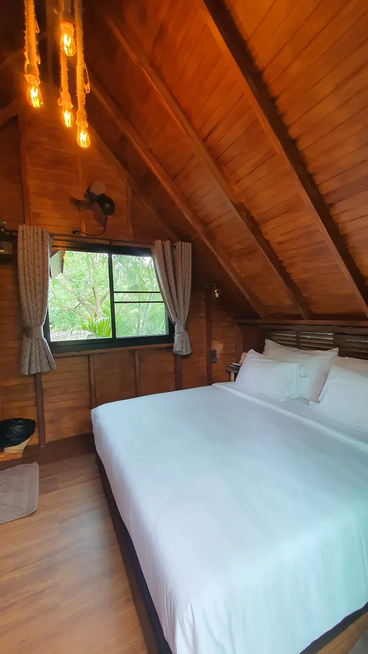 บ้านนก บ้านต้นไม้