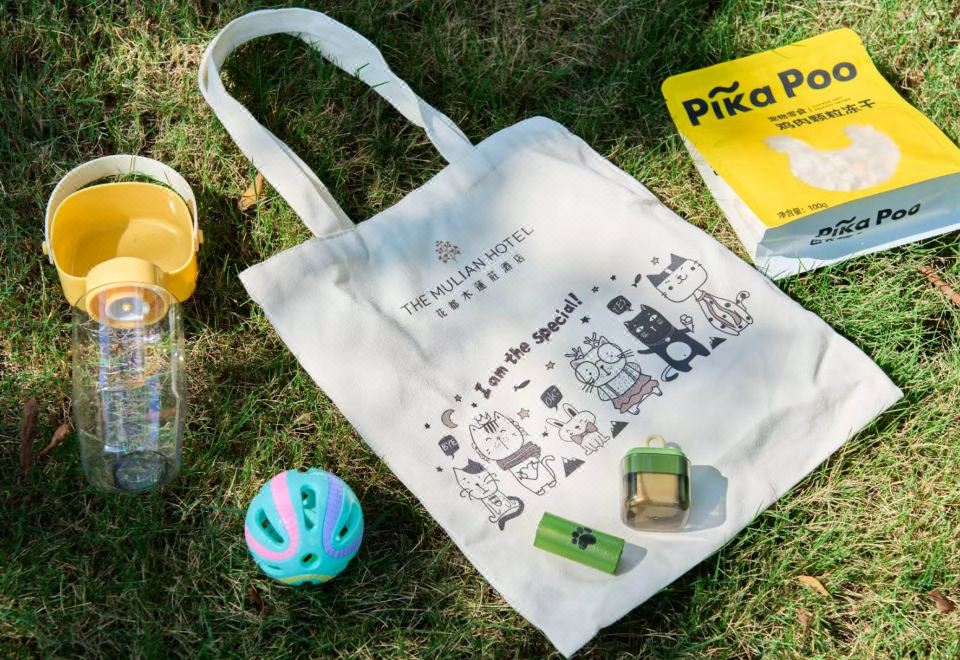 寵物友好花園大床房