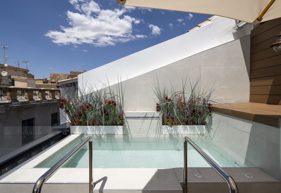 Reyes Catolicos套房（带私人泳池）