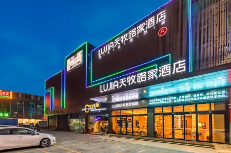 Tianmu Lujia Hotel (Foshan Kuiqi Lu Metro Station New DNA )