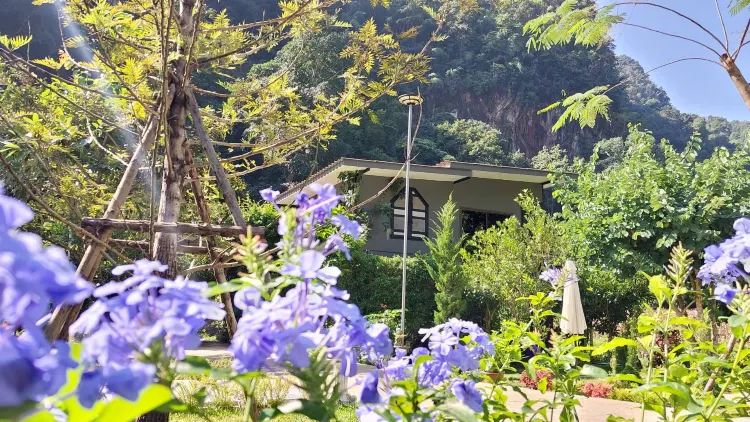 บ้านดูดาว