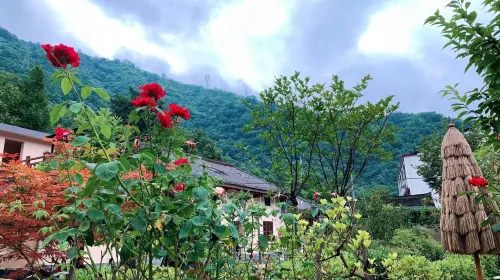 Lishui Dongpo Homestay