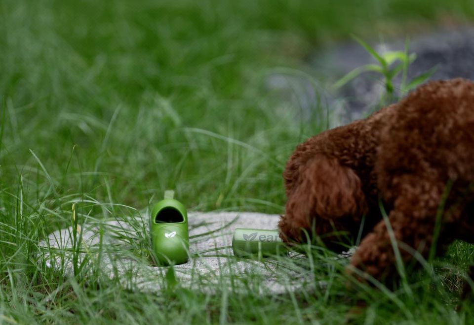 太湖日出·宠物友好-270°高空一线湖景广角套房