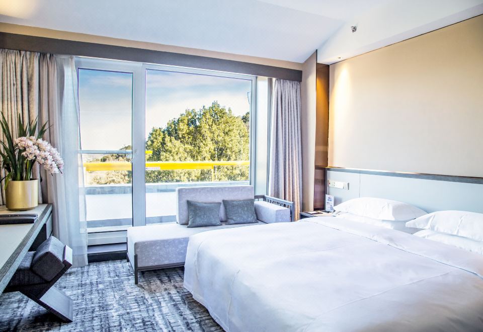 晴云·映日大床套房