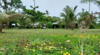 Naivacha Tent Koh Mak