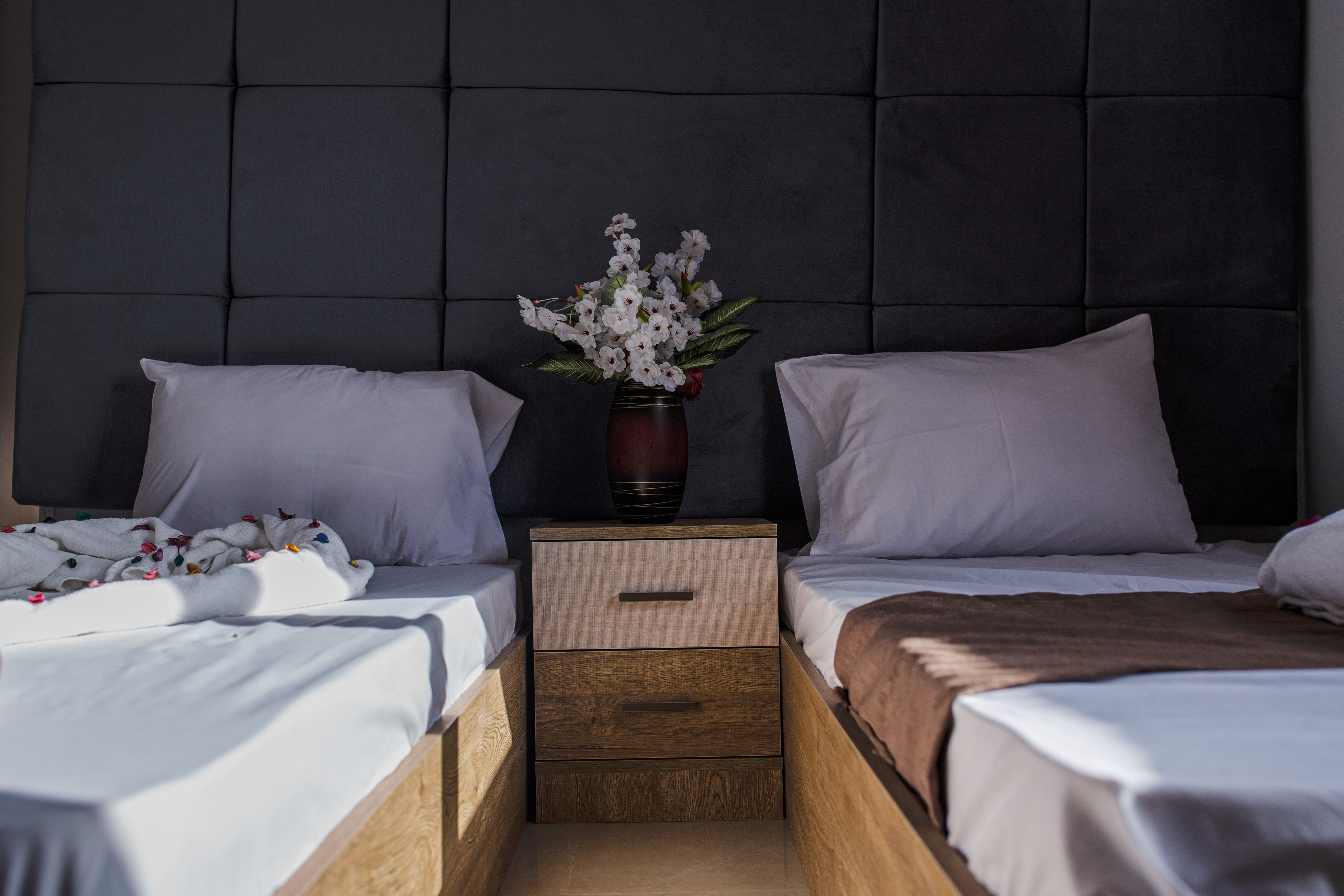 金字塔景豪华双人间