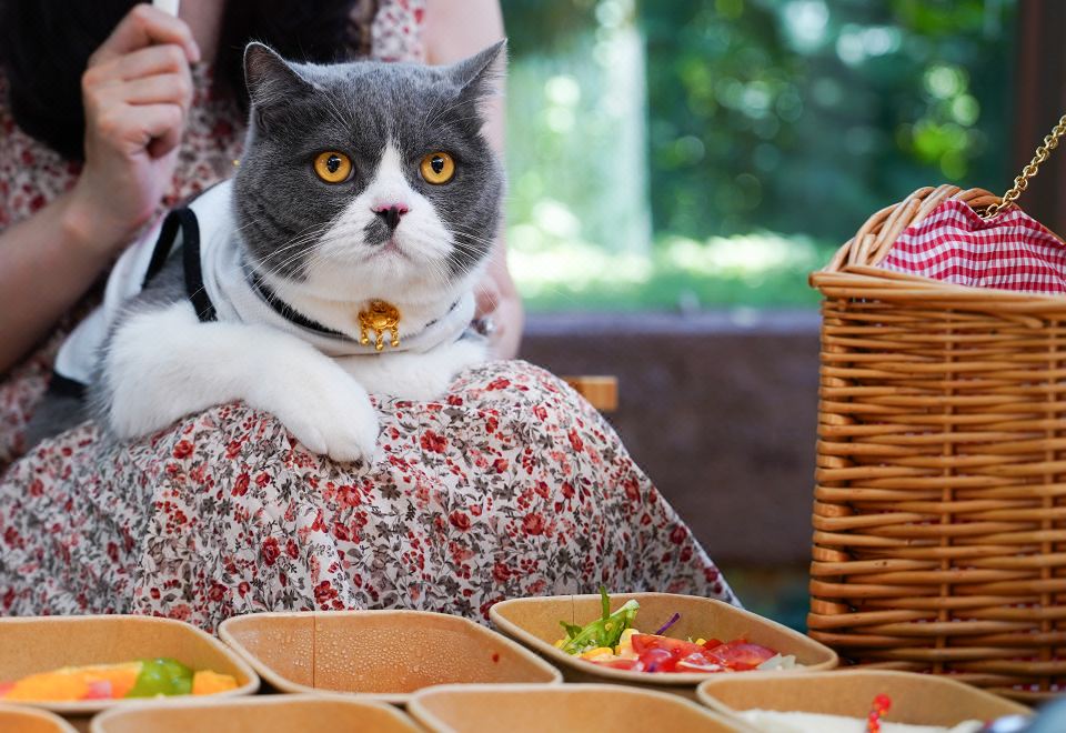 露營寵物庭院大床房