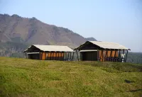 Cloud Starry Sky Homestay