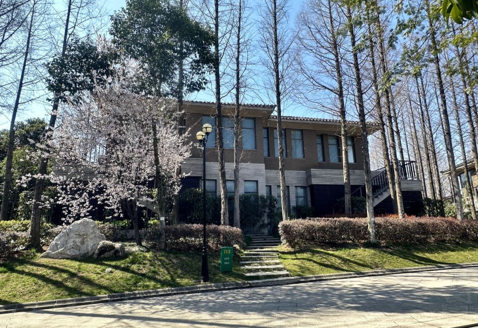 别墅山景大床房