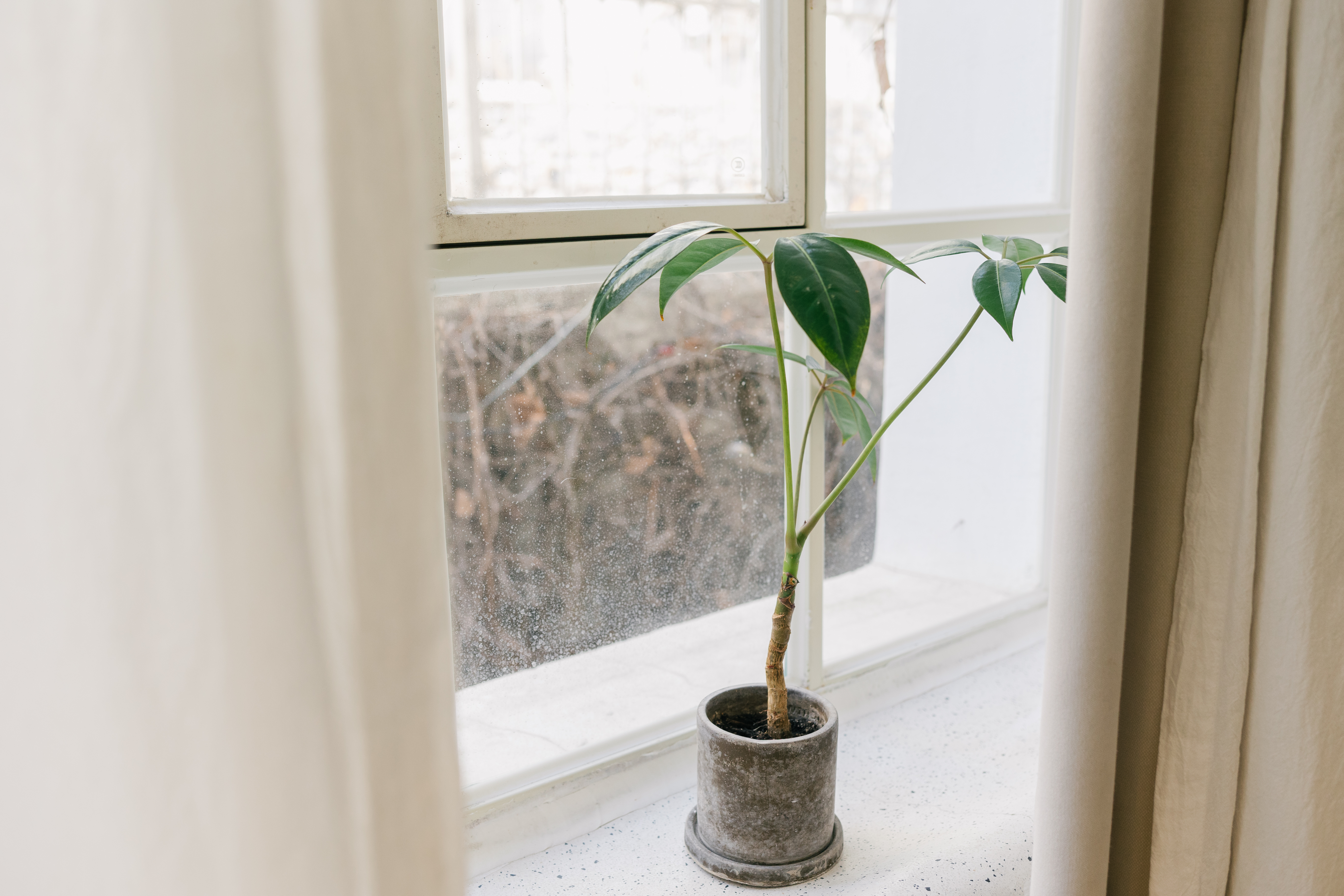 海棠｜「私享露台·超大出片cafe空间」