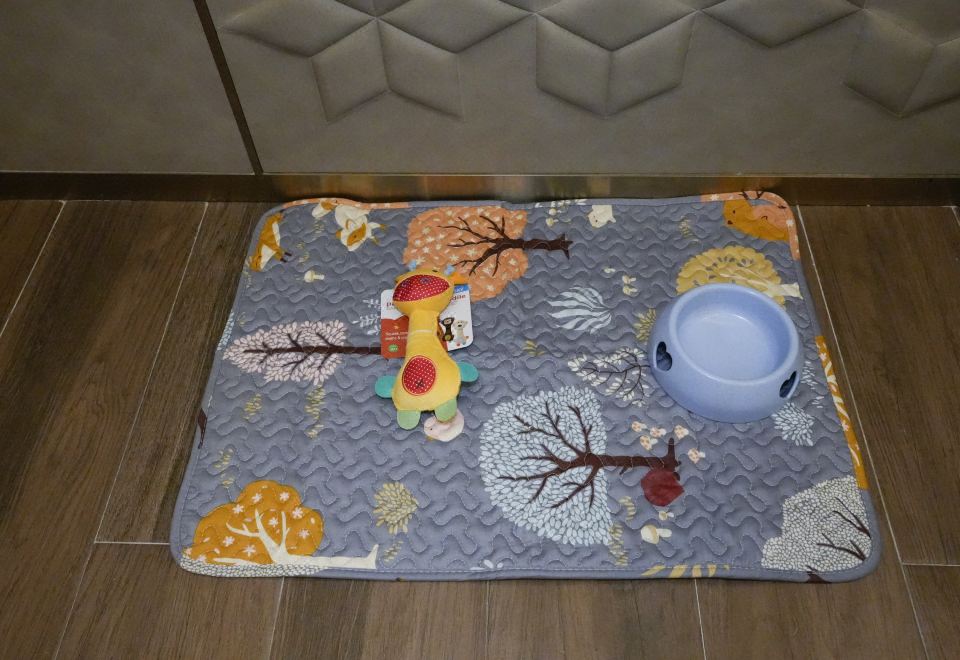 别墅萌宠双床房