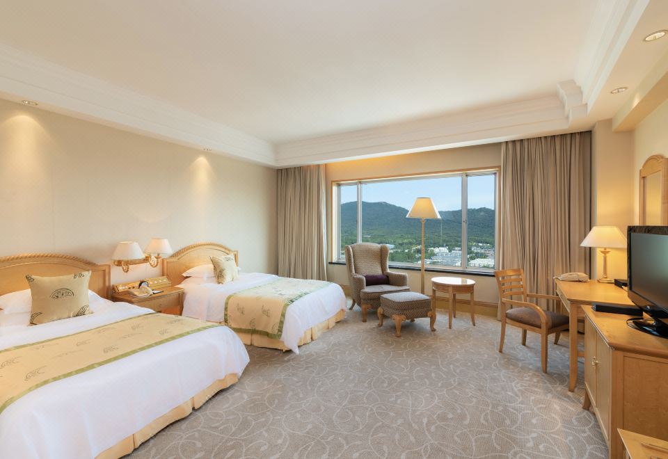 紫金山景豪華雙床房-住在城市看山景