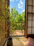 Kumo Inn