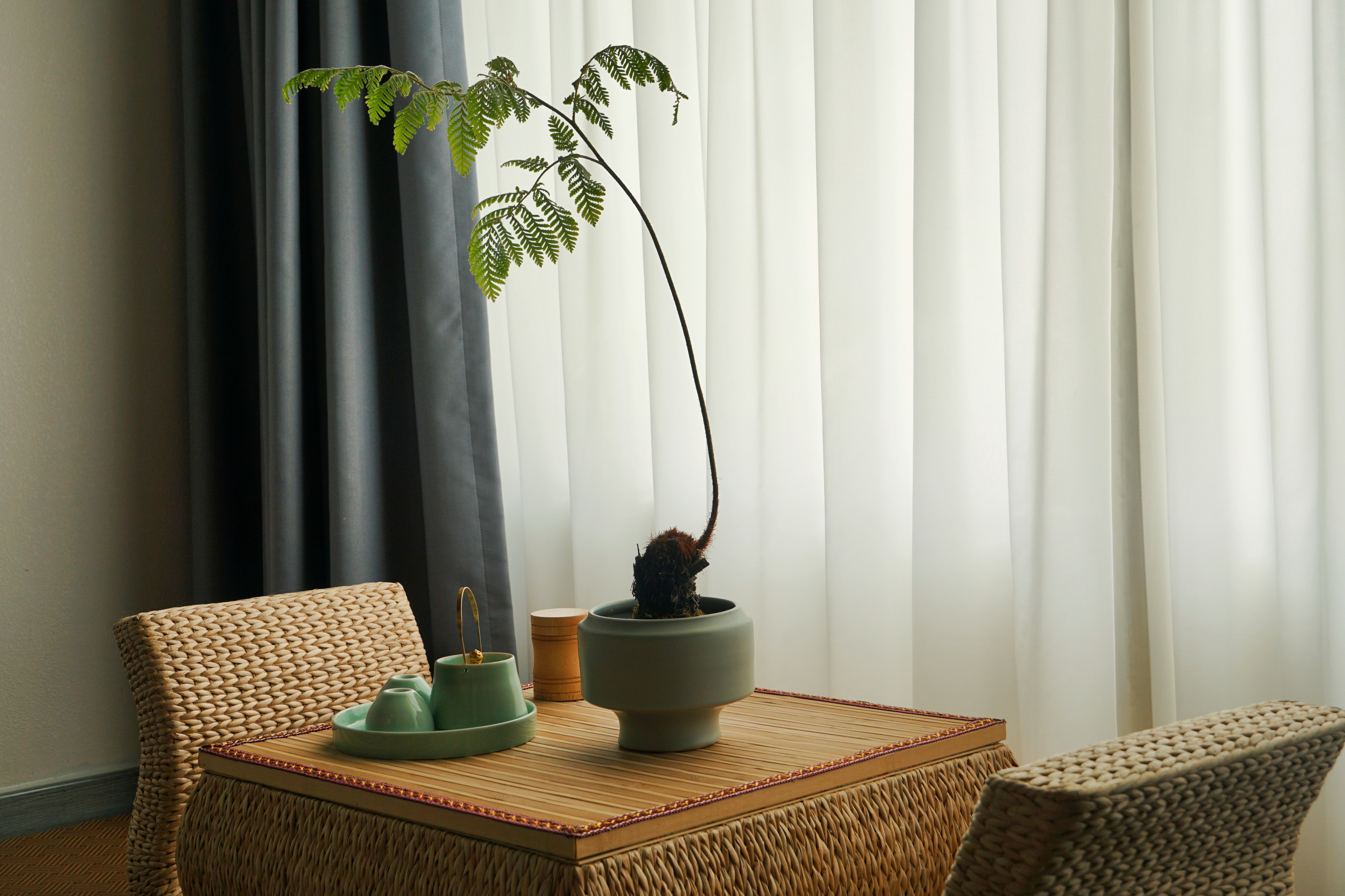 归园-庭院景观大床房