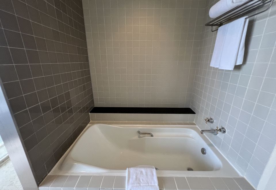 兩臥室行政套房