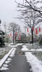 巴陵·邕湖莊園（洞庭湖中華熊貓苑店） 住宿飯店
