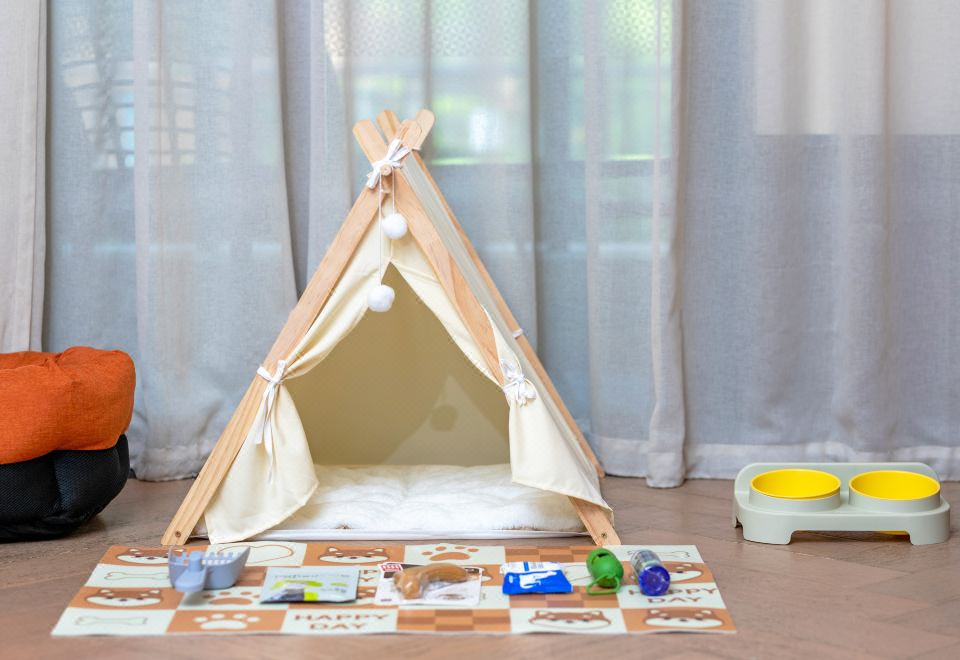 古镇宠物大床房