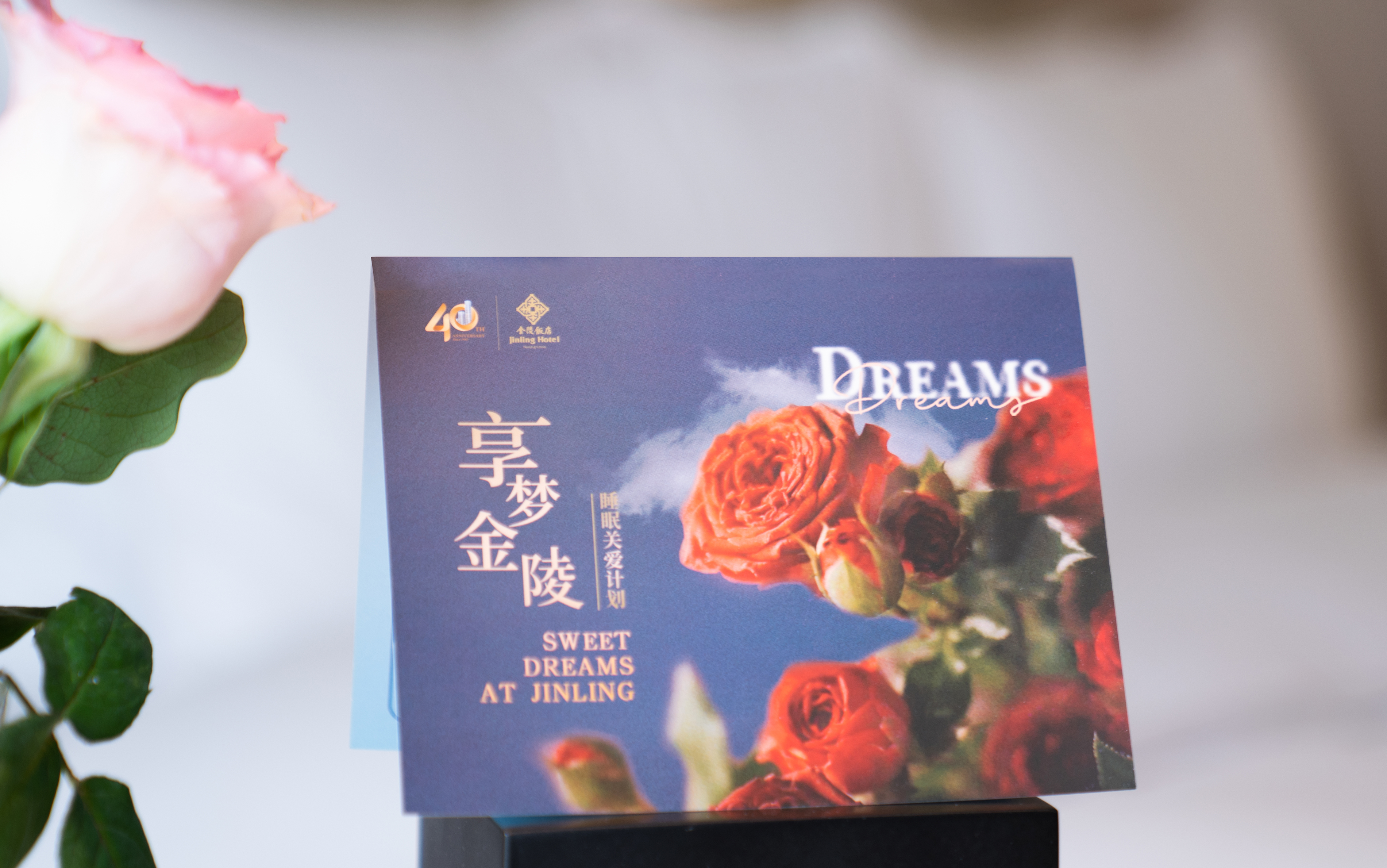 Jinling Hotel Nanjing金陵楼城景豪华大床房