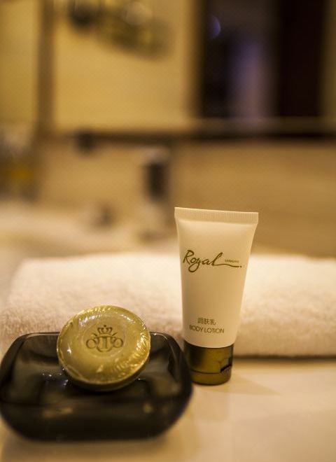 Royal Century Hotel ShanghaiDeluxe Room (2 Beds)