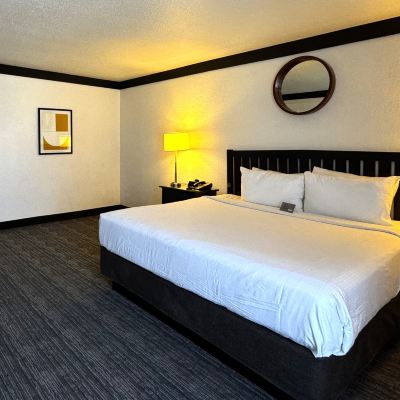 國際套房 OYO拉斯維加斯娛樂場飯店優惠