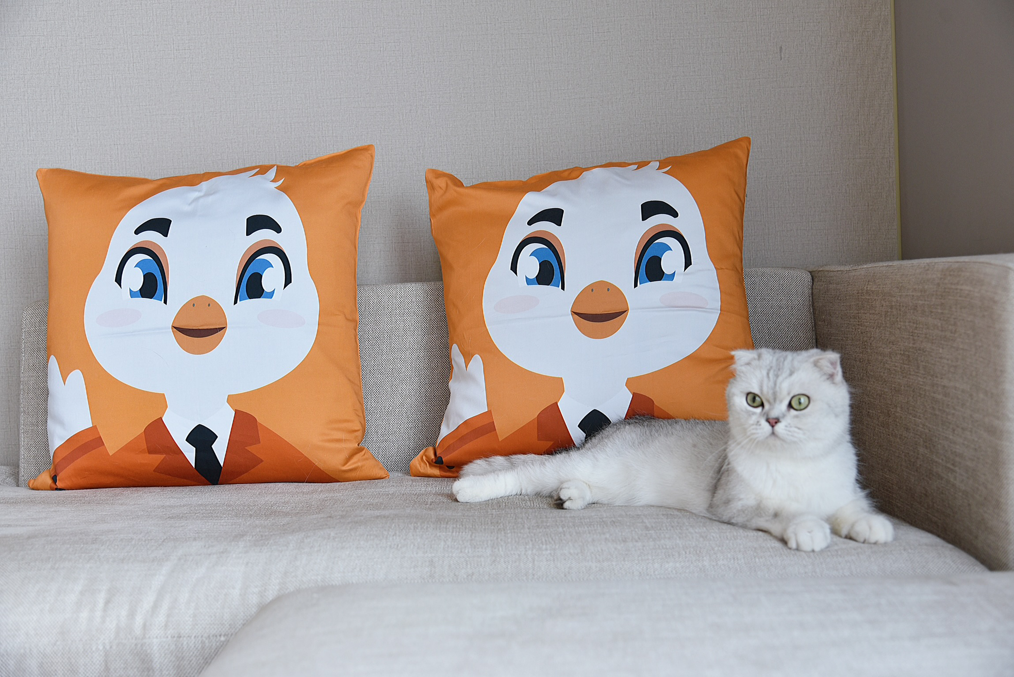 琥珀大床房-宠物房