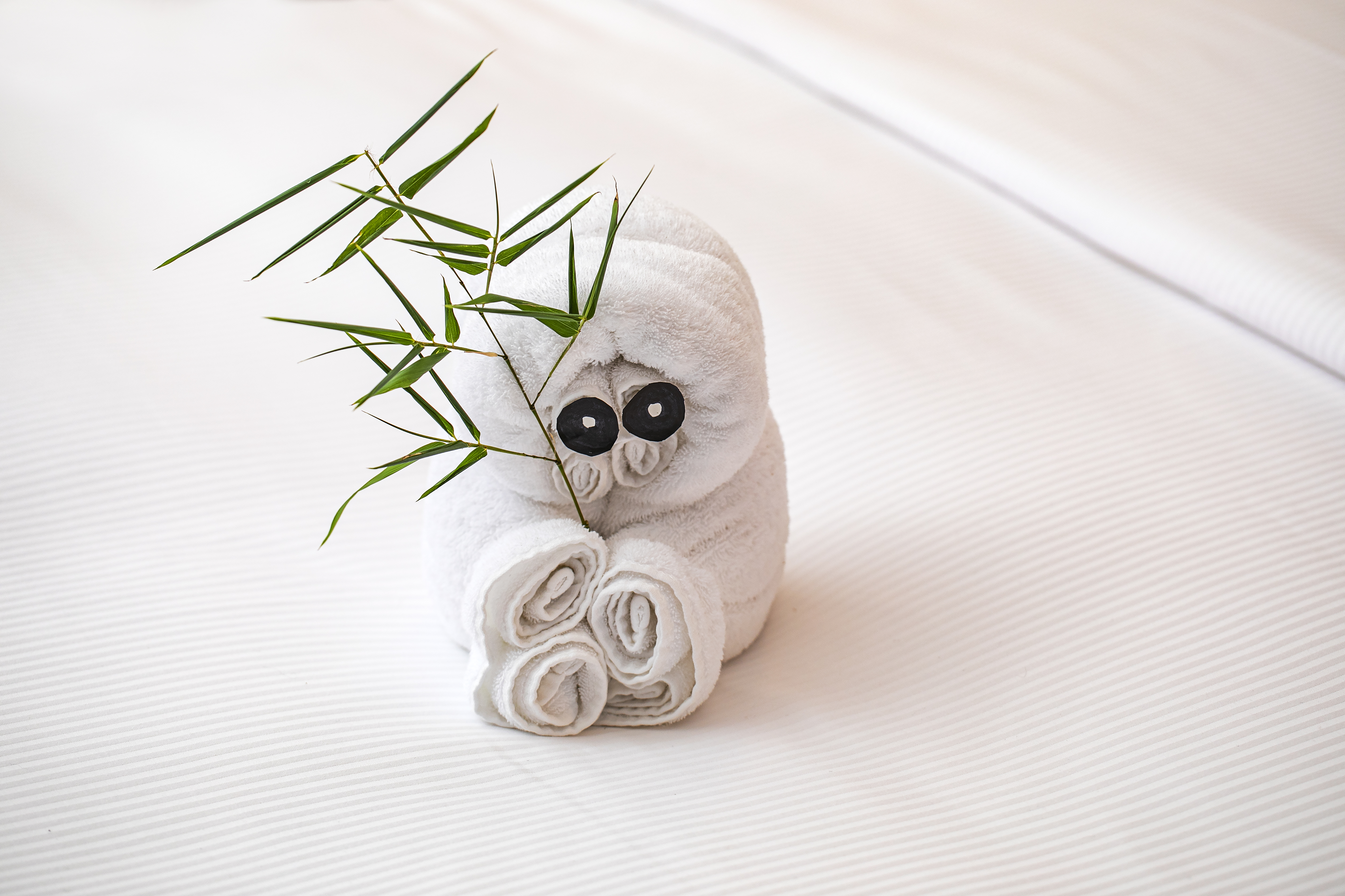 豪華城景套房（浴缸+地毯）