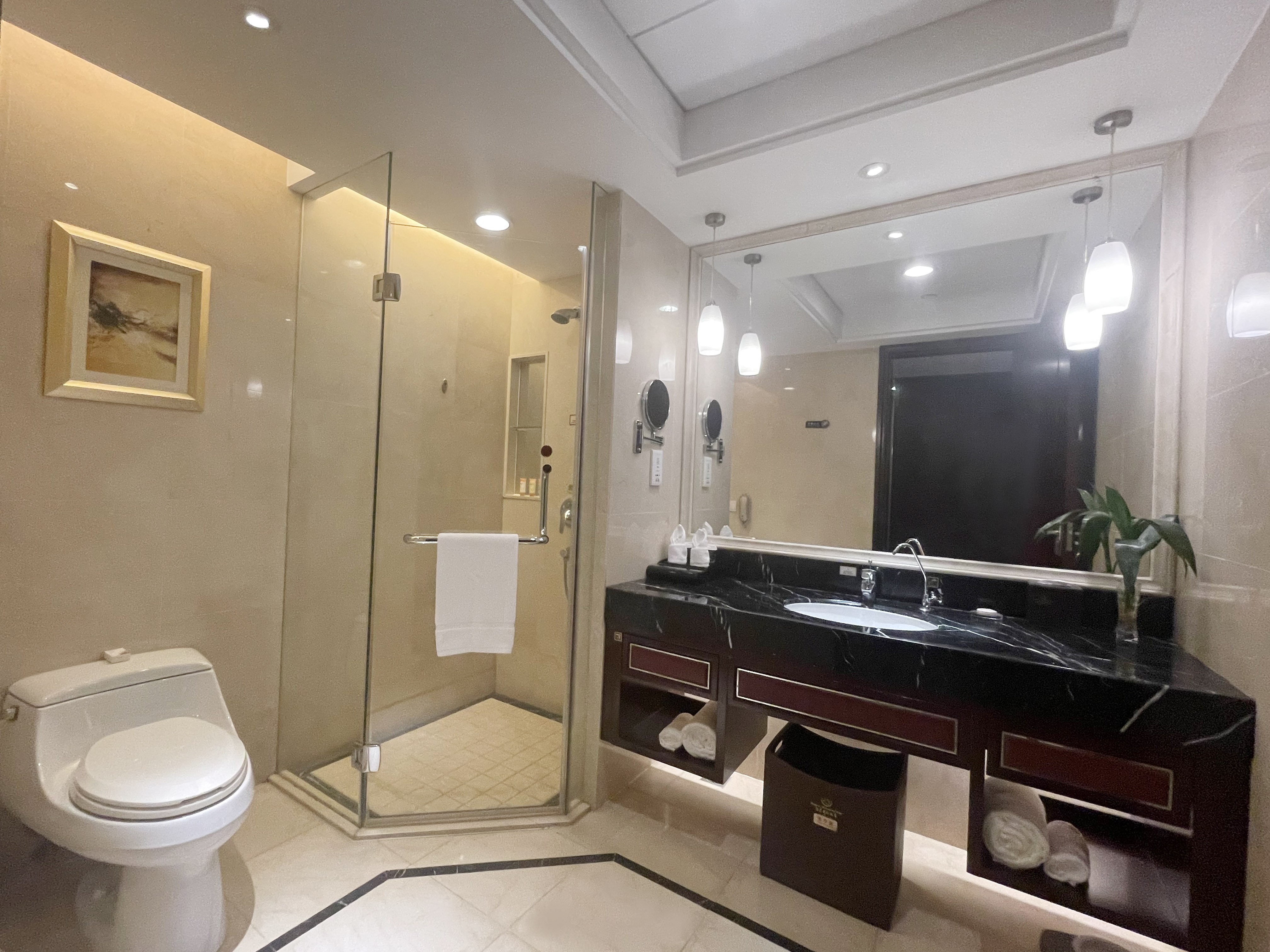 江景商务大床房（带沙发）