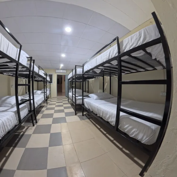 Bed In Male Dormitory 3 (Male Only)