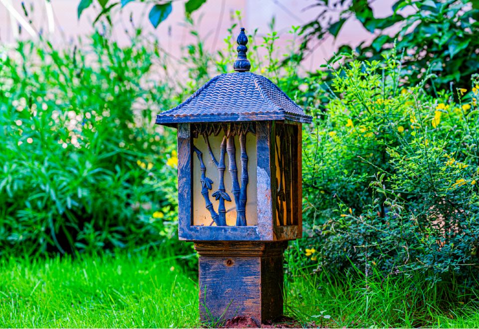 四季漫寻小院|温馨花园|赏夜景如画