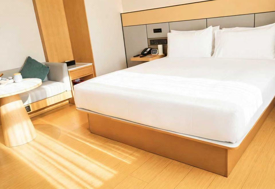 高级大床房（65寸4K电视投屏+智能客控）