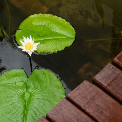 Railay Privacy Cottage Railay Bay Resort & Spa(SHA Extra Plus) Promo Code