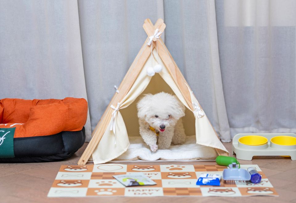 园林宠物大床房