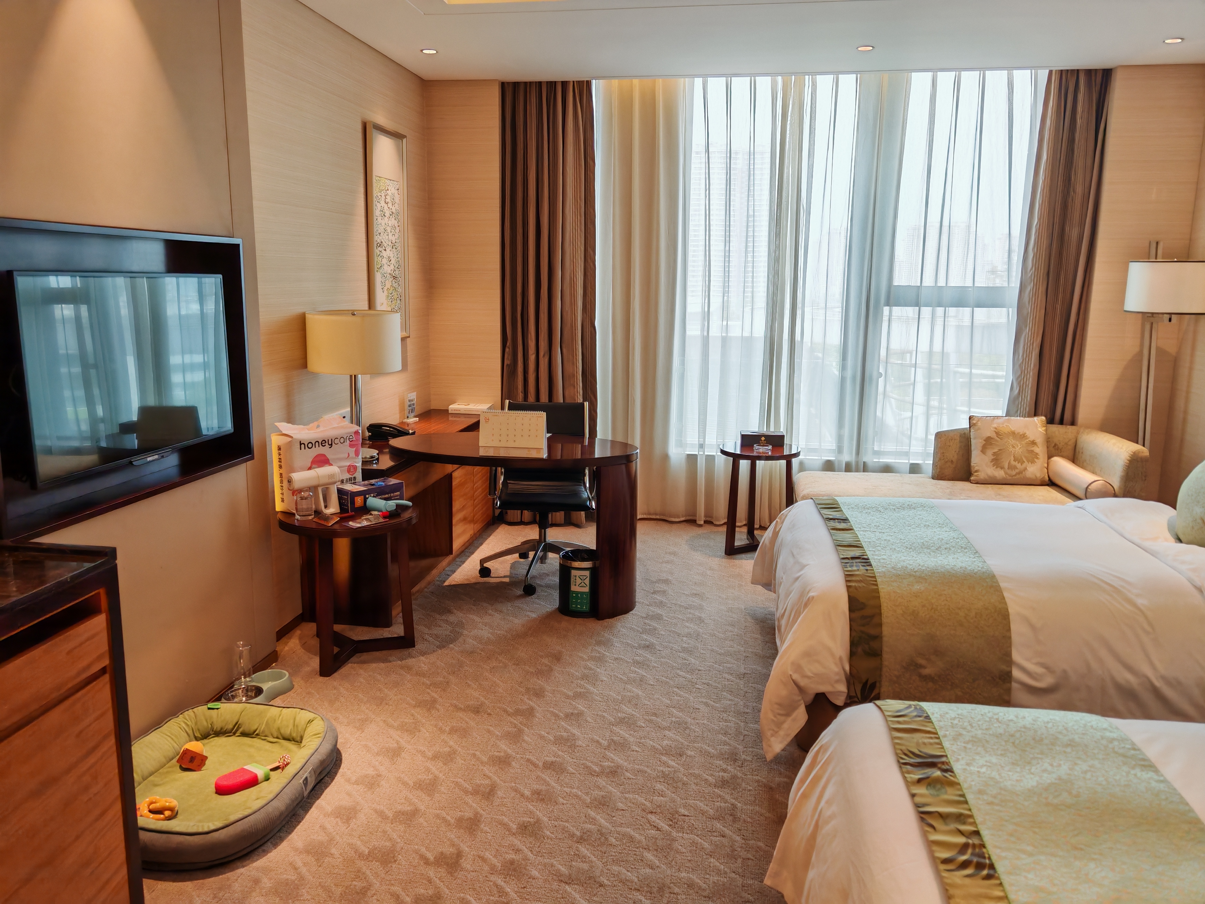 金陵萌宠双床房