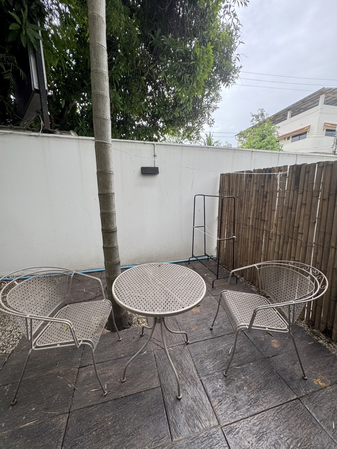 园景高级双床间