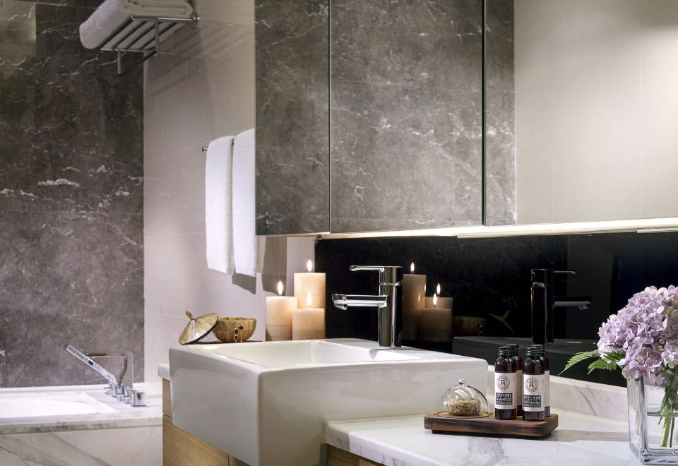 臻享一居室双床房