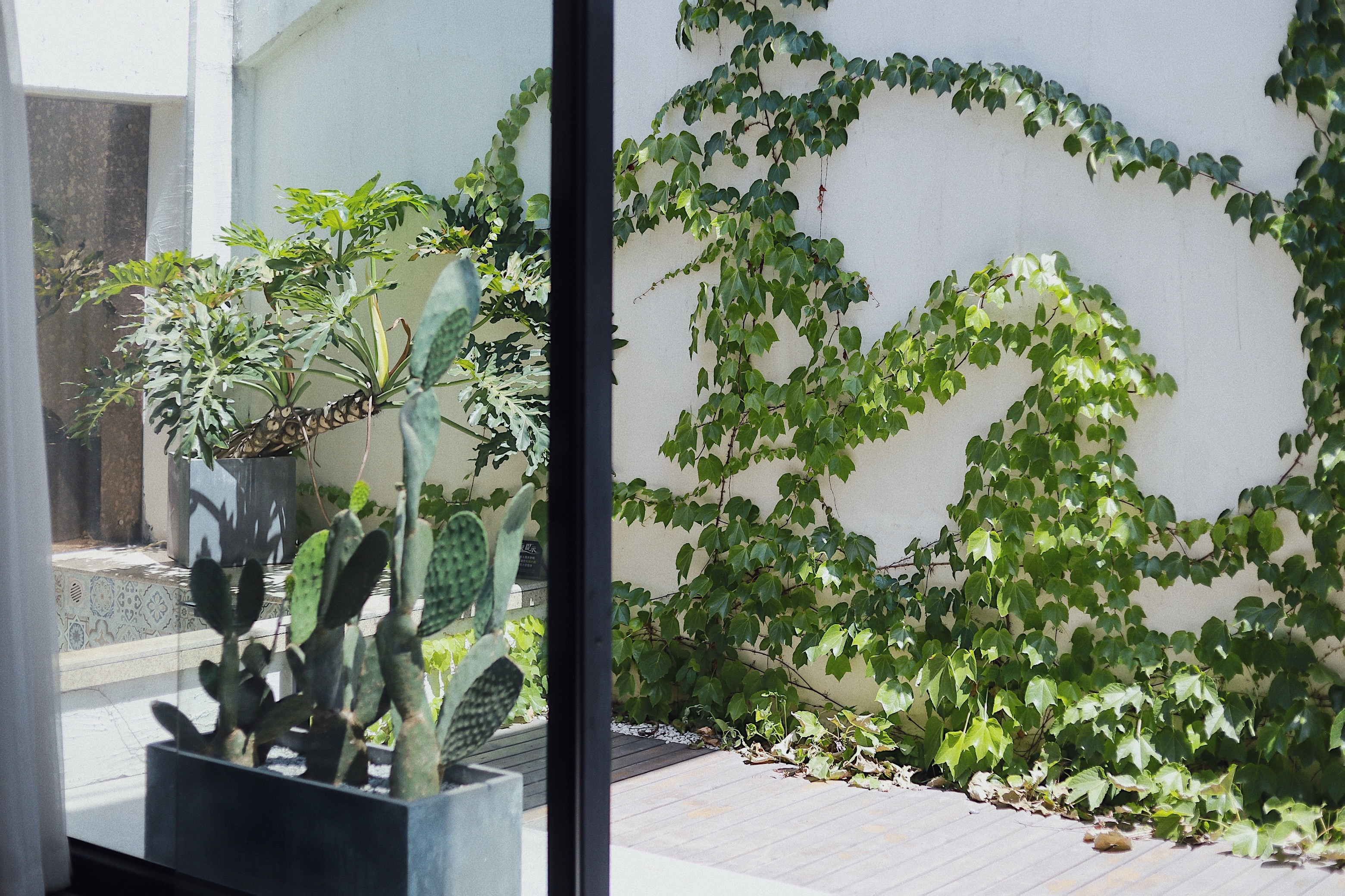 花园泡池大床房