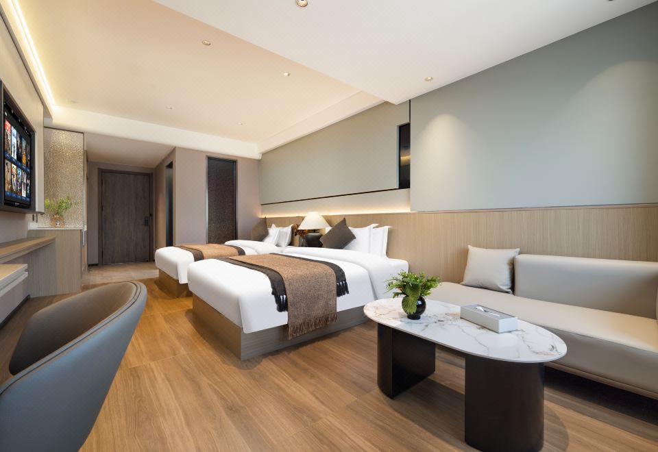 高级双床房（亲肤床品+零压床垫+65寸投屏电视+沙发）