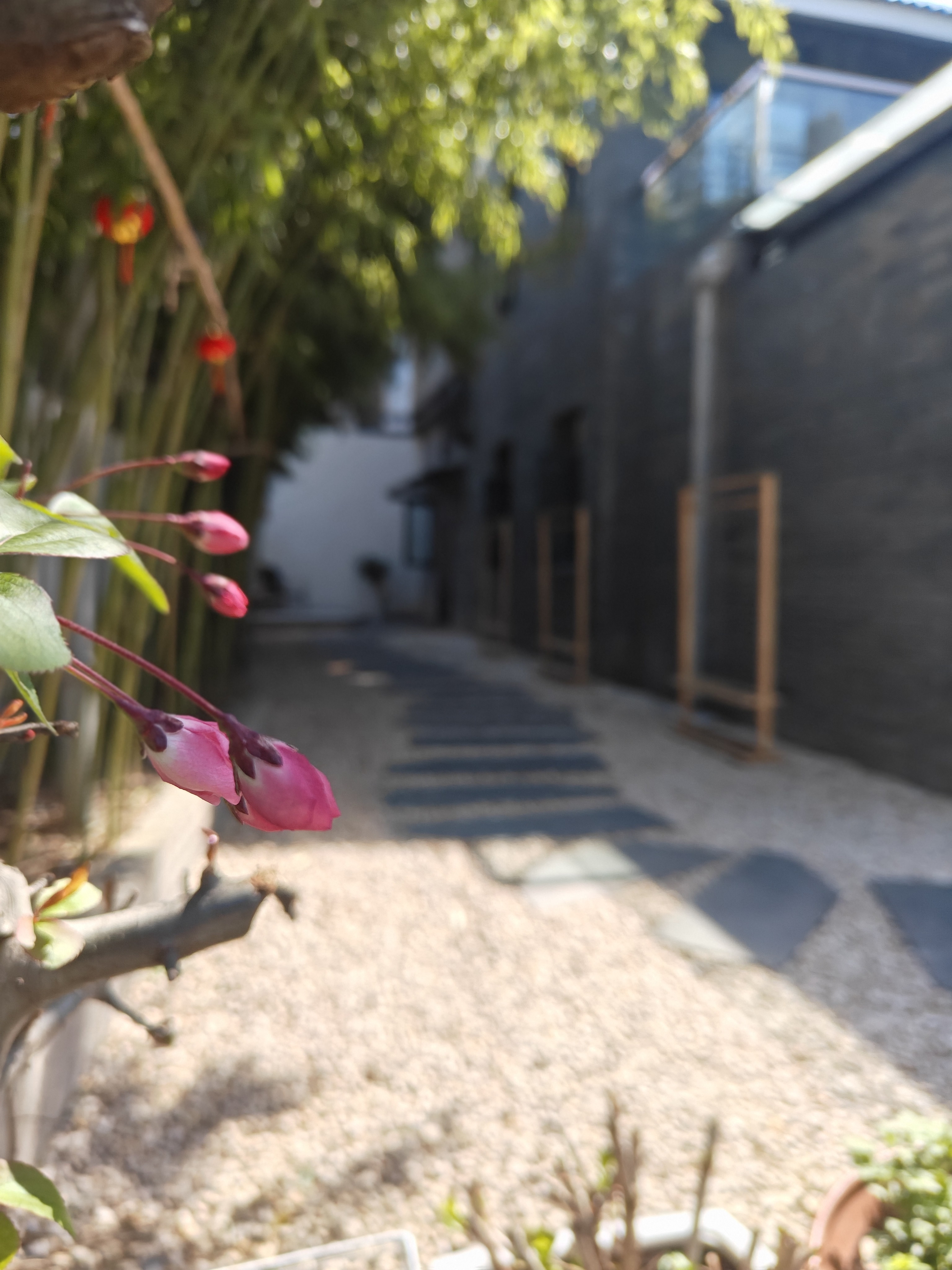 Xiang Zhang Shu Hotel归隐·私域空间·亲子家庭房