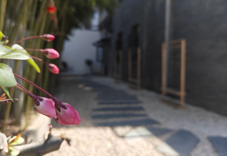 归隐·私域空间·亲子家庭房