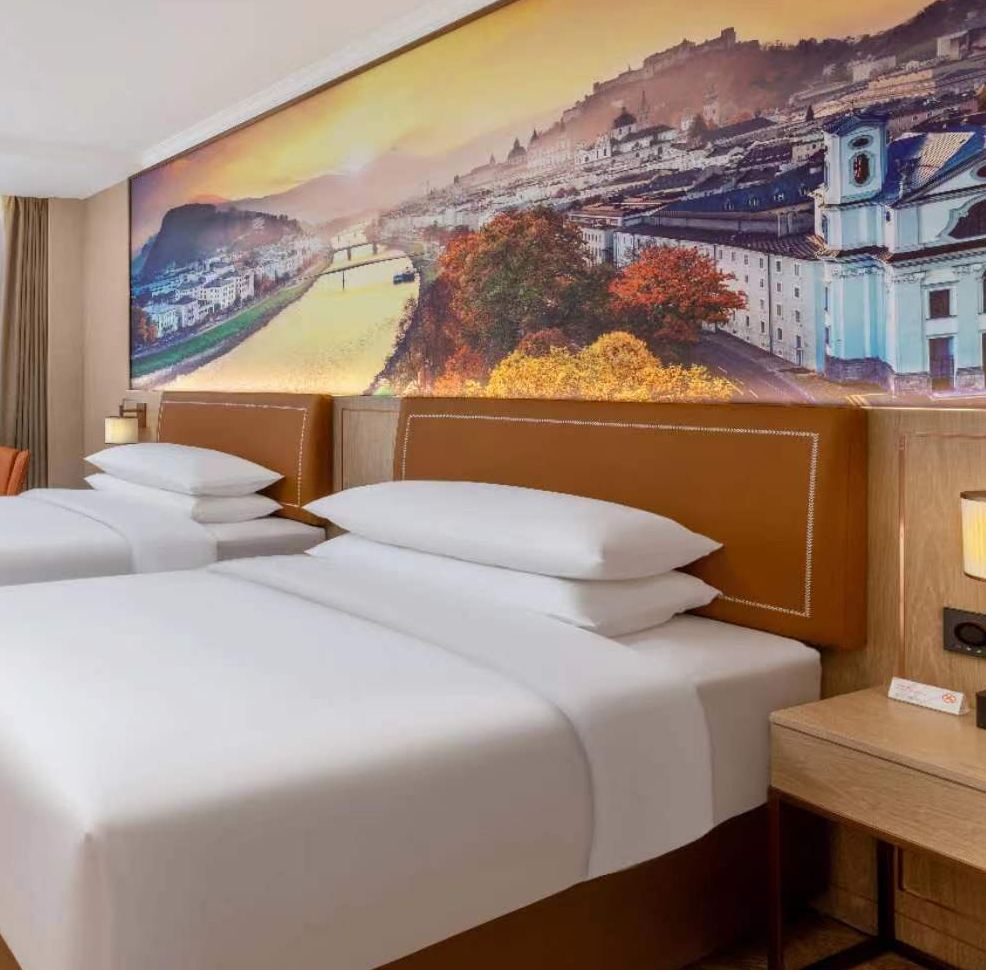 高级双床房（智能客控）