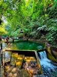 Ayong's Adventure Park