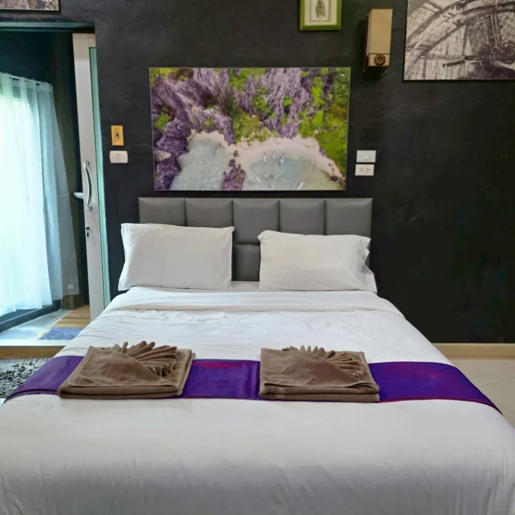 B15 B16 ห้องดีลักซ์ซิงเกิล, วิวสวน
