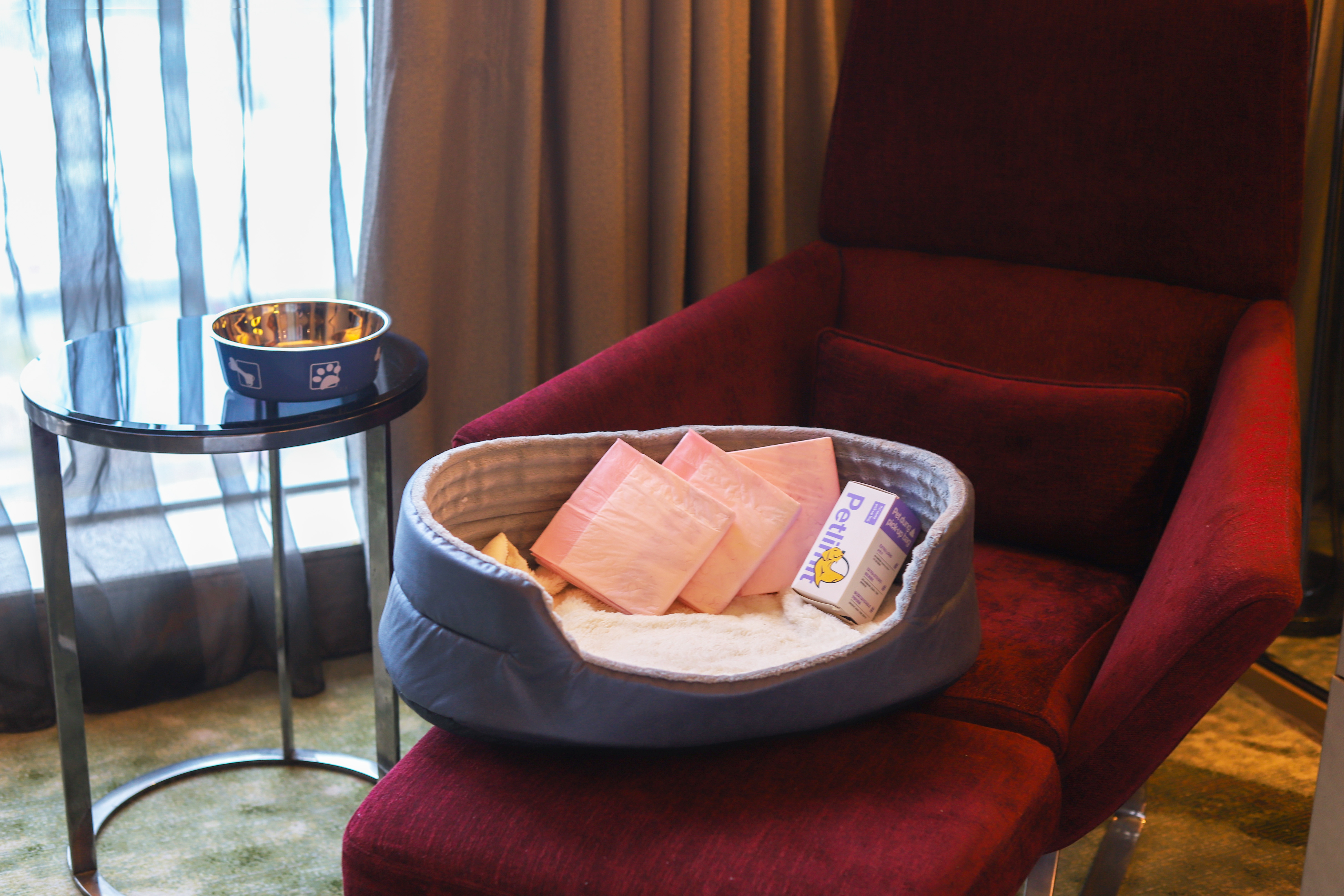 萌宠大床房（毛孩子睡窝+宠物用品）