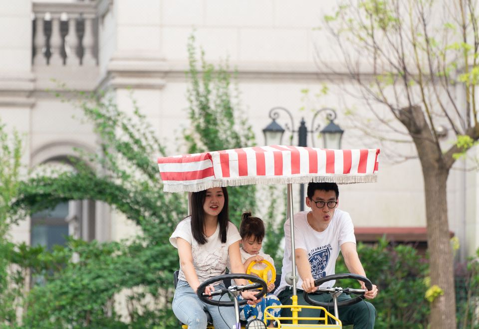 现代御逸宠物房?臻墅